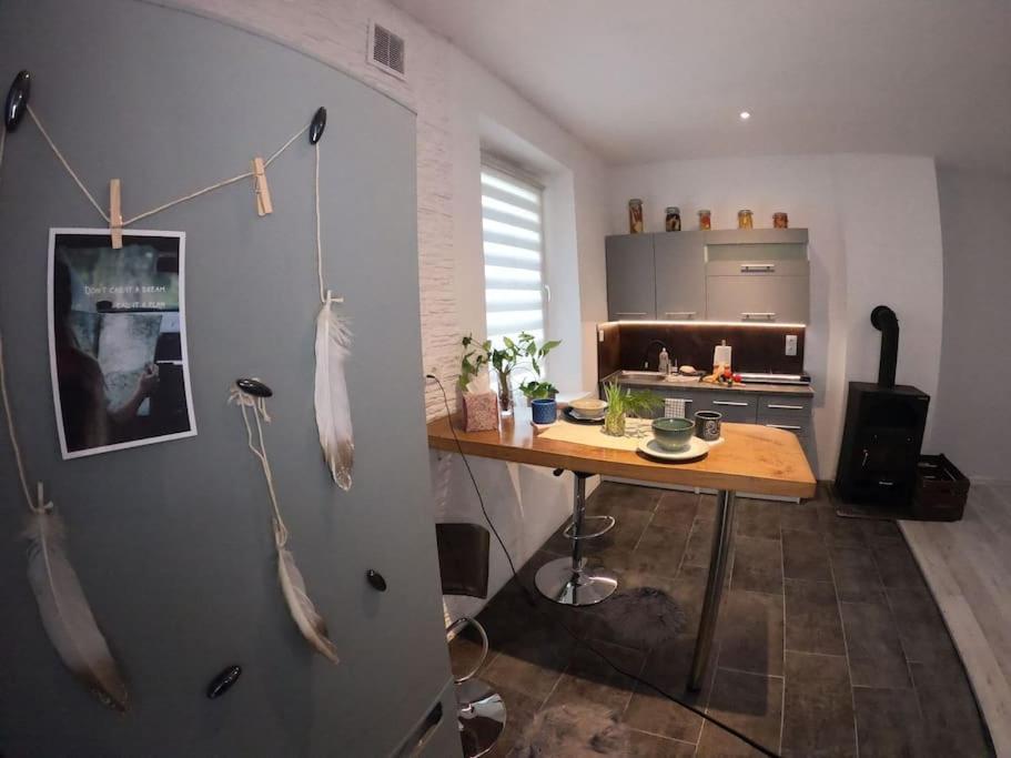 Urocze Studio W Sercu Cieplic Warmbrunn Eksteriør billede