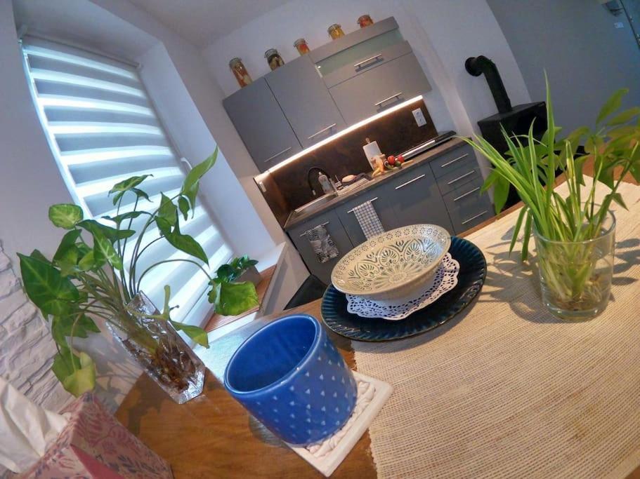 Urocze Studio W Sercu Cieplic Warmbrunn Eksteriør billede